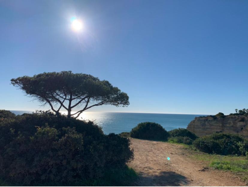 A Beira Do Vale, Carvoeiro Panzió Carvoeiro  Kültér fotó